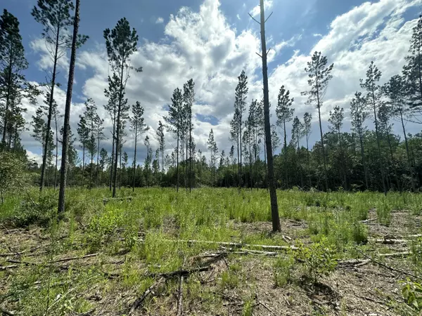 Baker, FL 32531,Parcel B&C Yellow River Baptist Church Road
