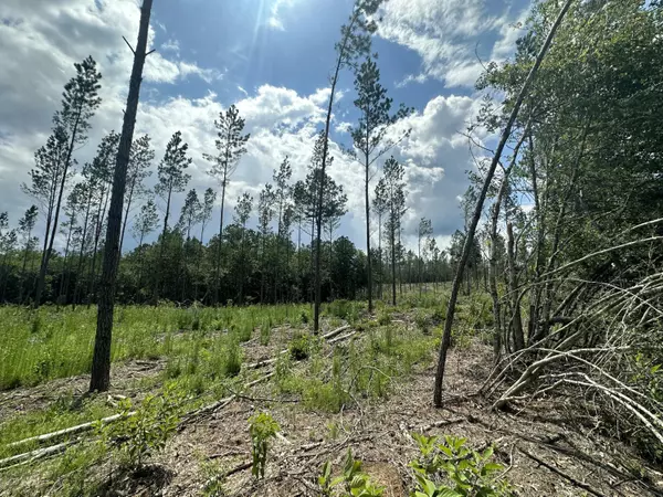 Baker, FL 32531,Parcel B Yellow River Baptist Church Road