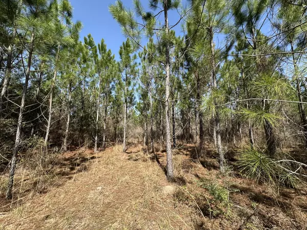 Caryville, FL 32427,Tract#6416 Douglas Ferry North Road