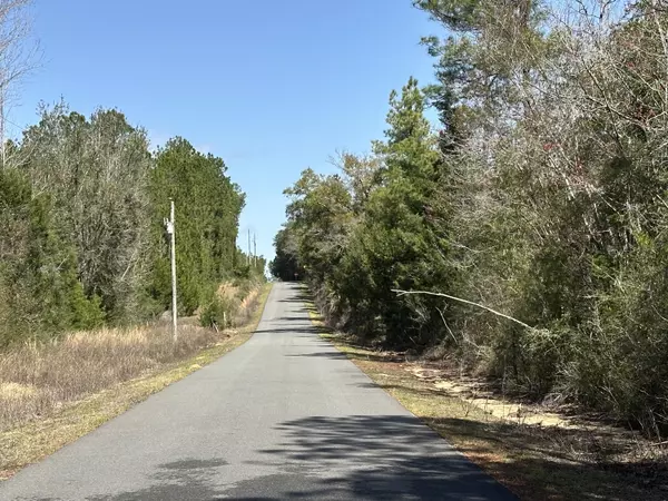 Caryville, FL 32427,Tract#6417 North Brock Road
