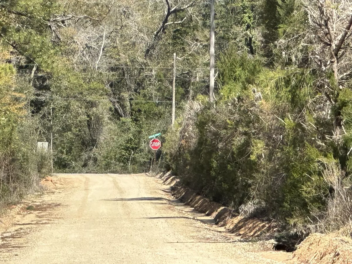 Caryville, FL 32427,Tract#6418 Mattox Springs East North