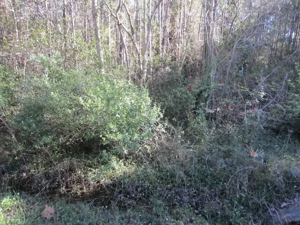 Santa Rosa Beach, FL 32459,Lot 12 Churchill Bayou Road