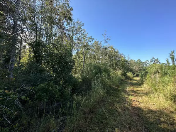Laurel Hill, FL 32567,Parcel J Buck Tyner Road