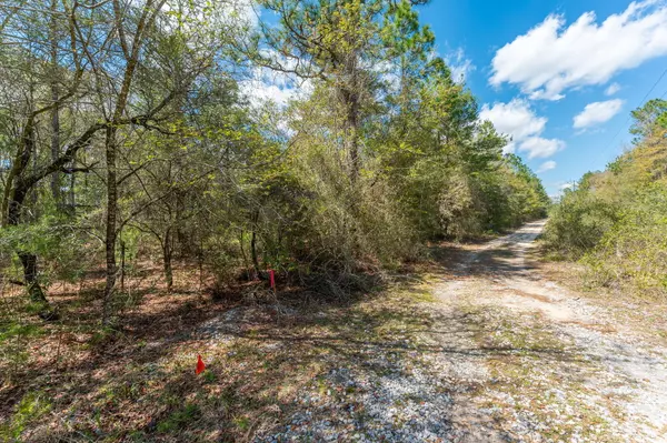 Defuniak Springs, FL 32435,TBD Wildwood Lakes Drive