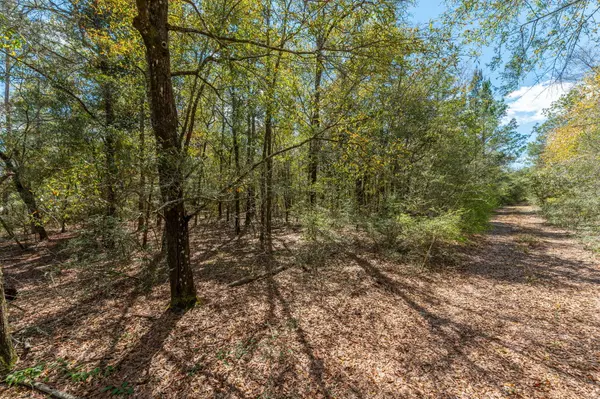 Defuniak Springs, FL 32435,TBD Wildwood Lakes Drive
