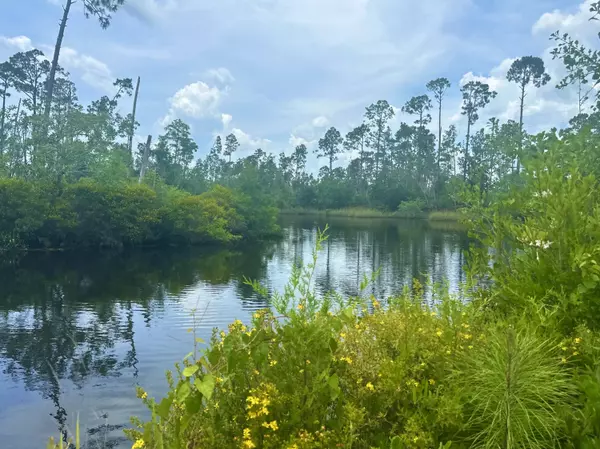 Wewahitchka, FL 32465,324 Pleasant Rest Road