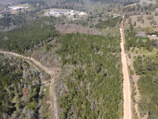 Marianna, FL 32448,58+/ Acres South Street