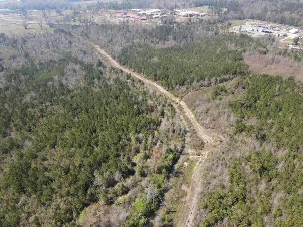 Marianna, FL 32448,58+/ Acres South Street