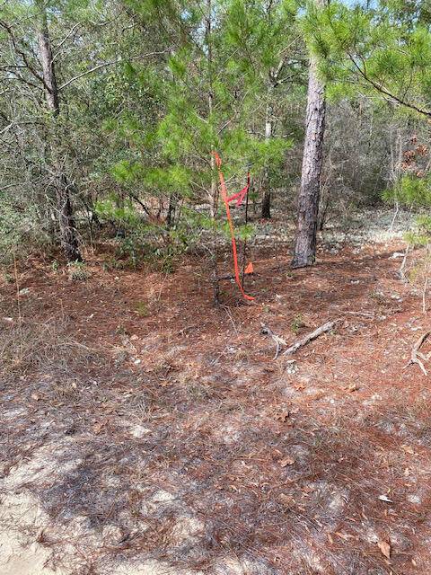 Defuniak Springs, FL 32433,lot 21 Bret Dr