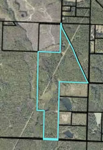 120 Acres E Plympton Road, Laurel Hill, FL 32567