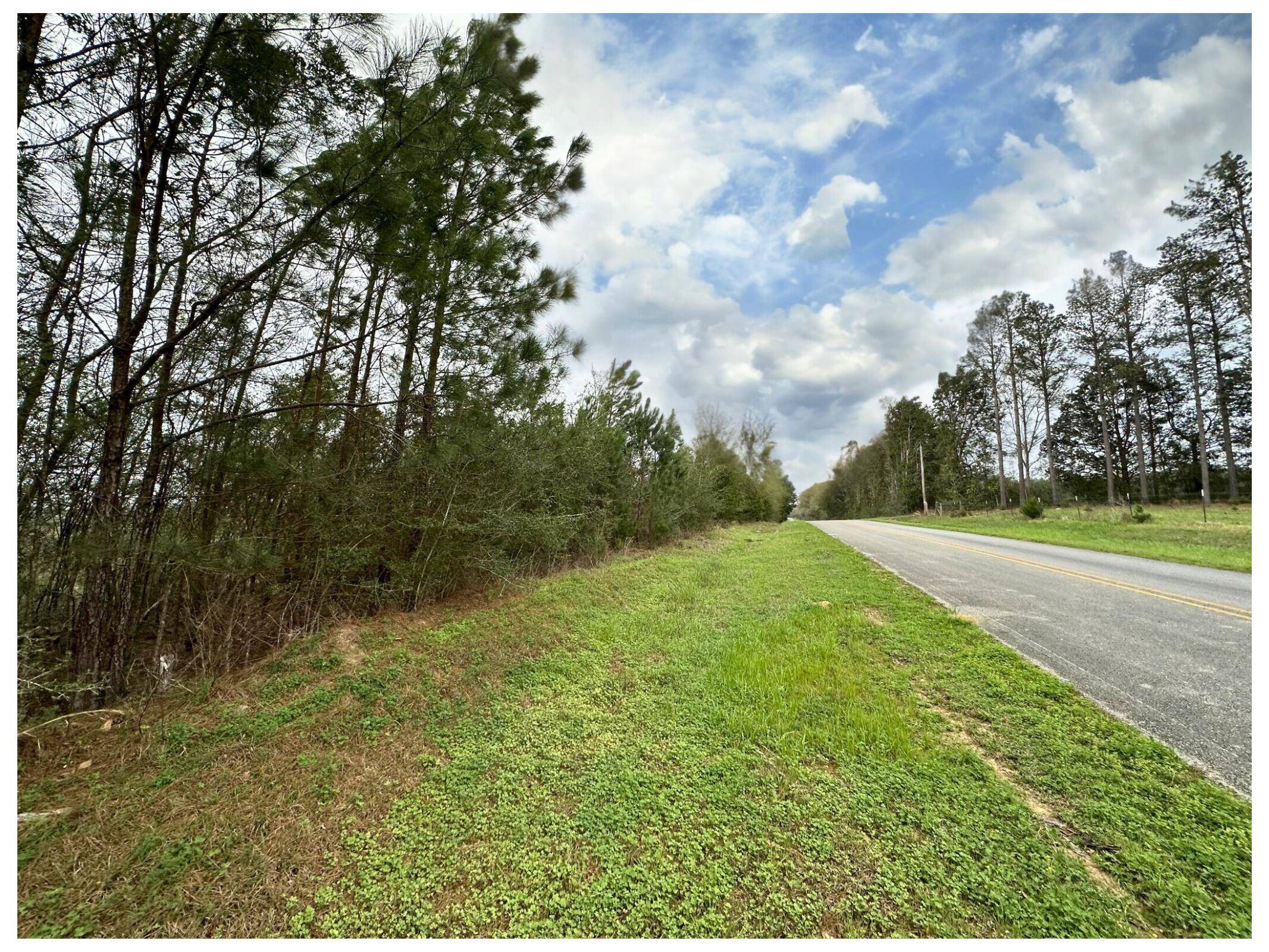 Tract#6201 8 Mile Cemetery Road  #2A, Defuniak Springs, FL 32433