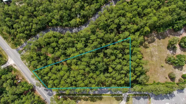 Santa Rosa Beach, FL 32459,10 N Co Highway 395