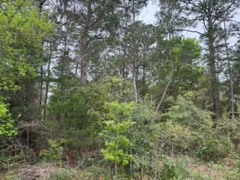 Navarre, FL 32566,Lot 27 Crescent Road