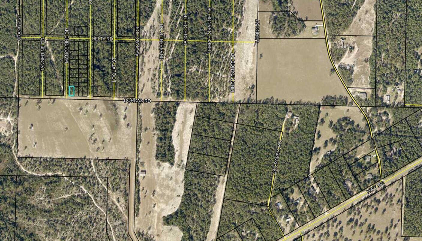Crestview, FL 32539,Lots 1 & 2 Dorcas Road