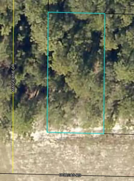 Crestview, FL 32539,Lots 1 & 2 Dorcas Road