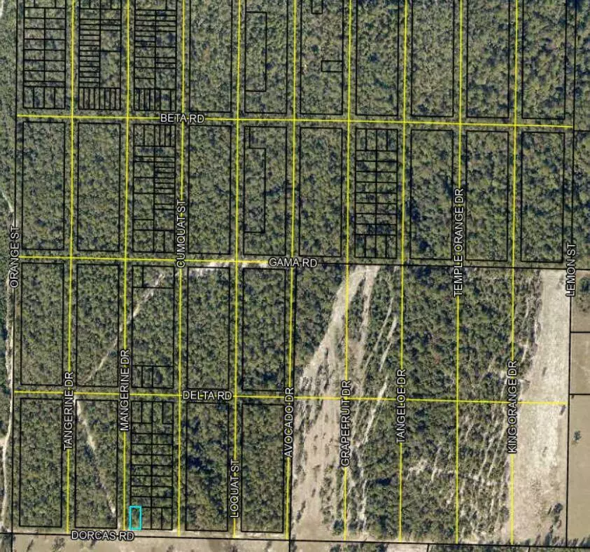 Crestview, FL 32539,Lots 1 & 2 Dorcas Road