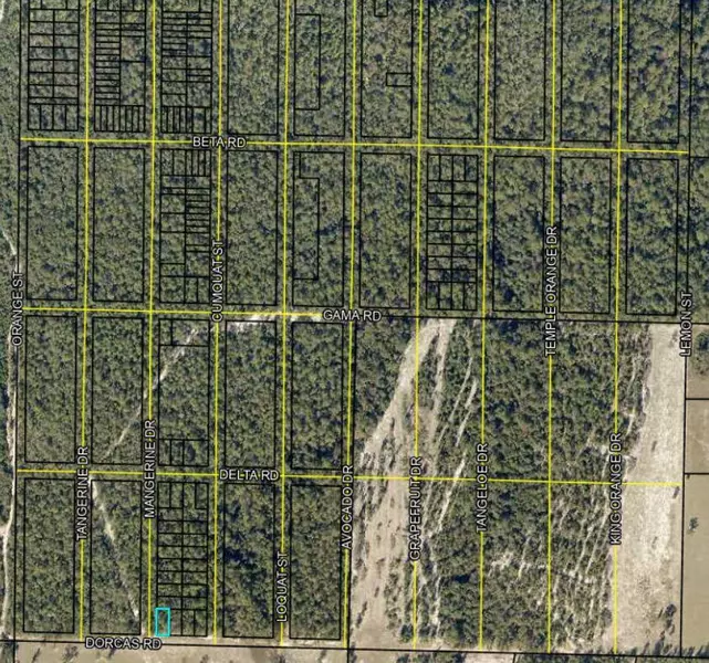 Lots 1 & 2 Dorcas Road, Crestview, FL 32539