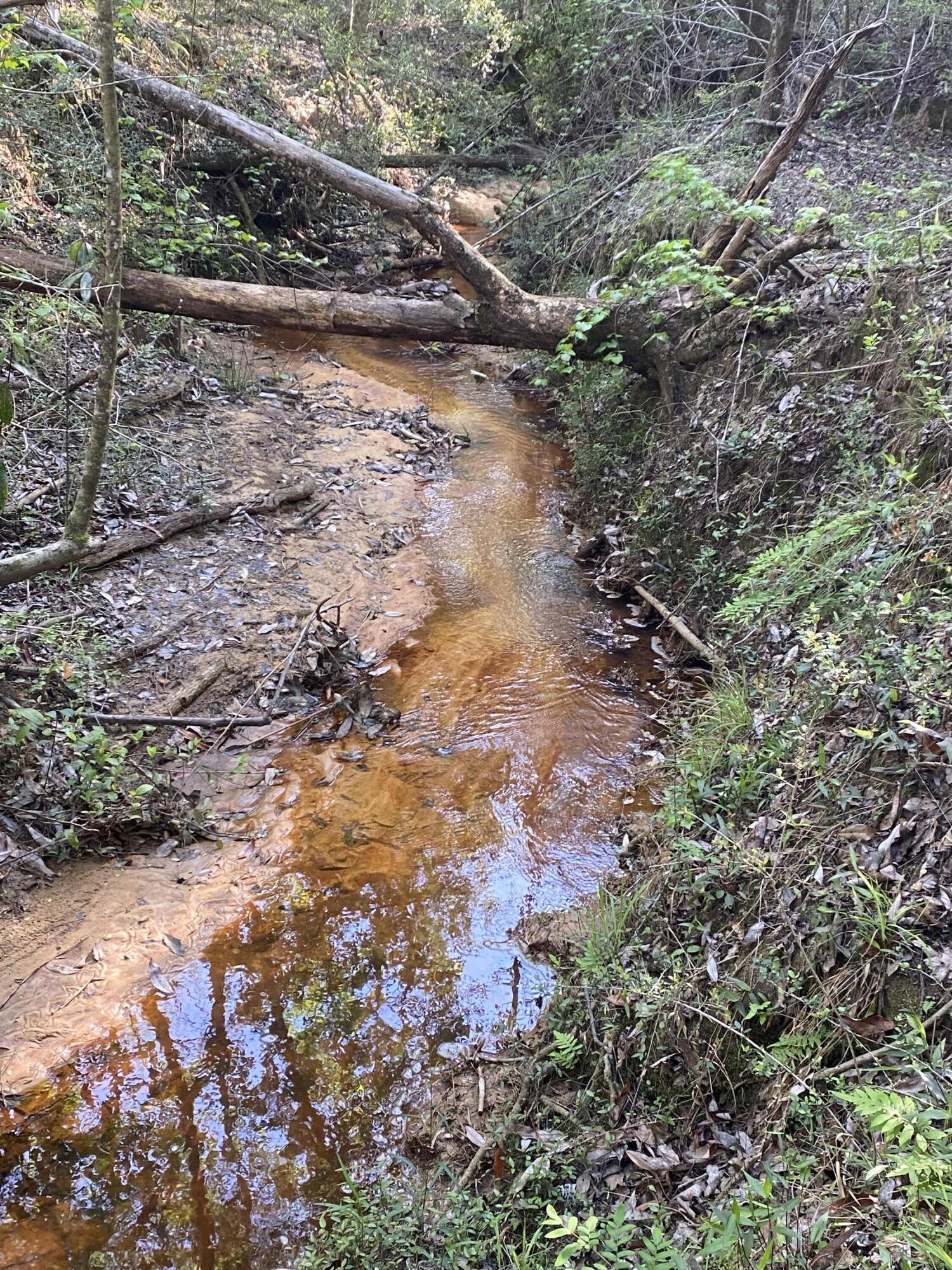 Baker, FL 32531,80 acres Sherman Kennedy Road