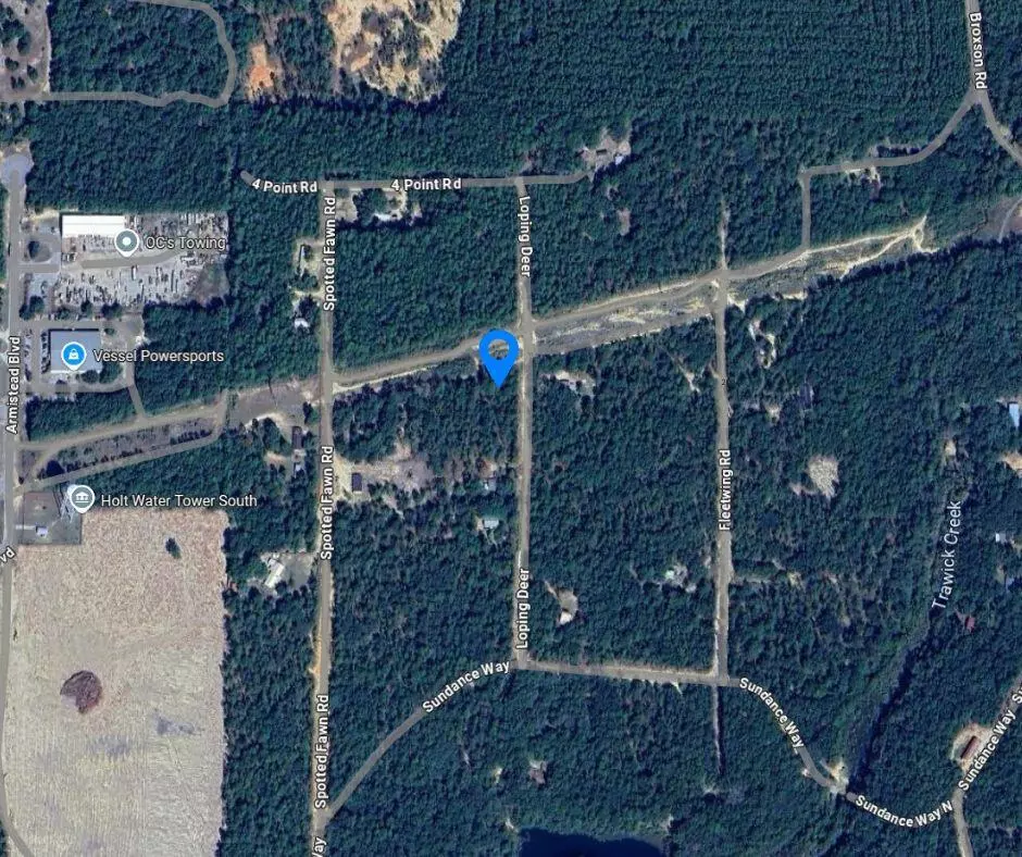 Holt, FL 32564,XXX Loping Deer Road