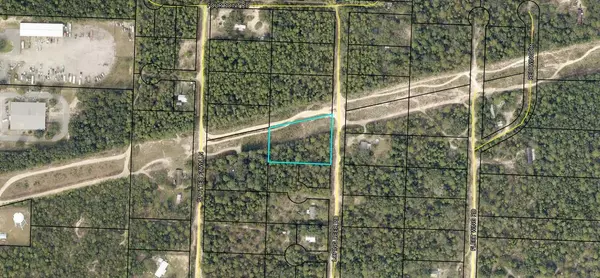 Holt, FL 32564,XXX Loping Deer Road