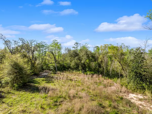 Southport, FL 32409,3517 High Cliff Road