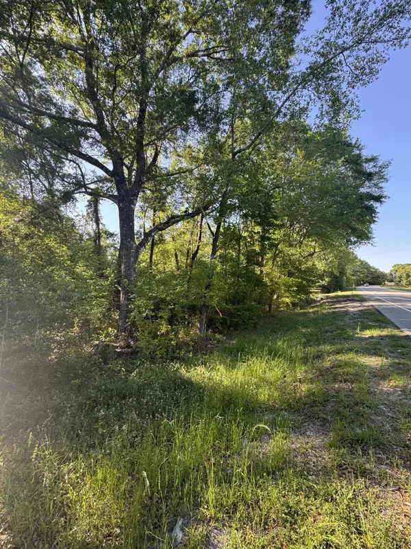 Ponce De Leon, FL 32455,.59 St Highway 81