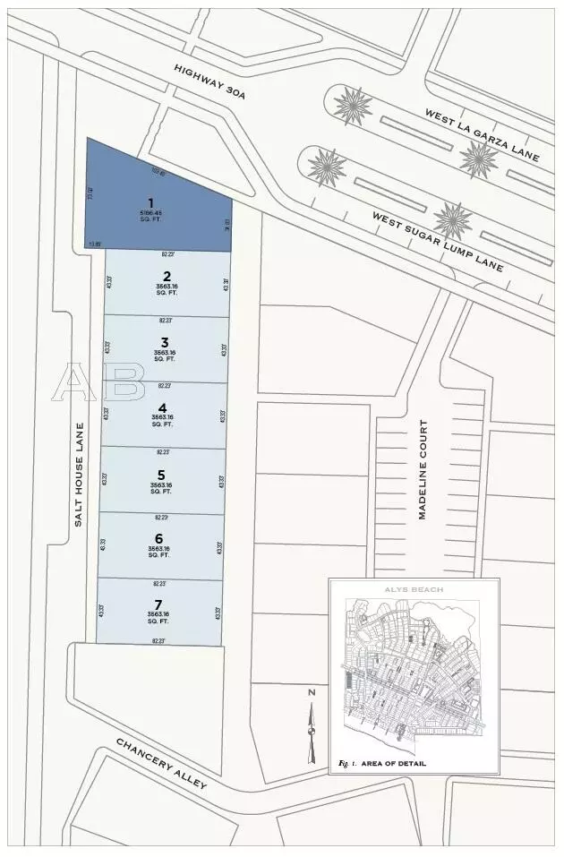 Inlet Beach, FL 32461,AB1 Salt House Lane