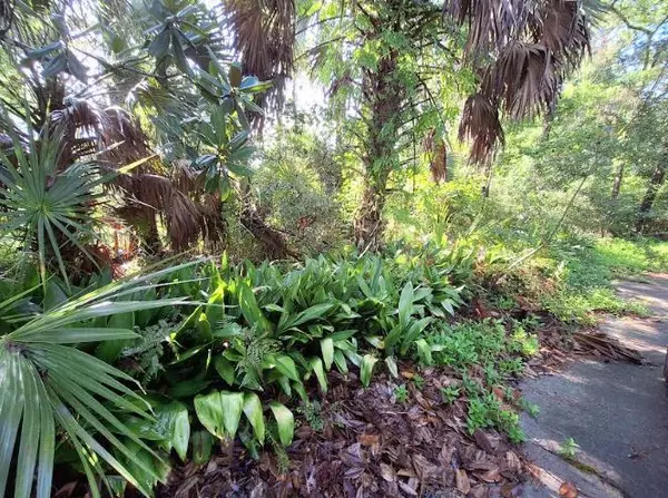 Apalachiacola, FL 32320,127 Scipio Landing Road