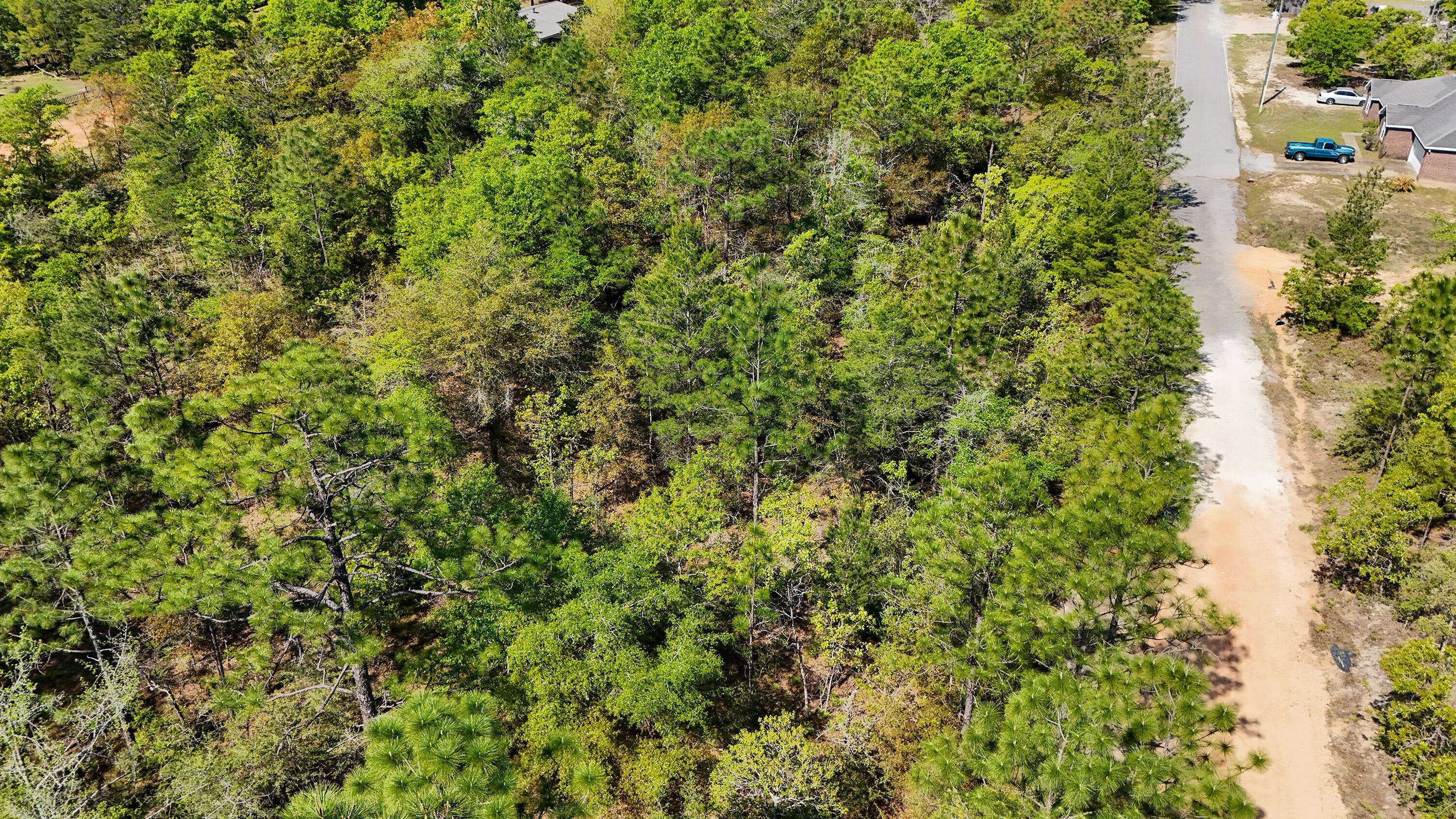 Defuniak Springs, FL 32433,TBD Crocus East Avenue