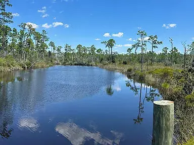Wewahitchka, FL 32465,9641 N County Road 386
