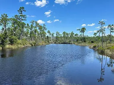 9641 N County Road 386, Wewahitchka, FL 32465