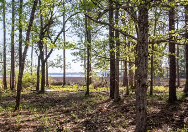 Freeport, FL 32439,LOT 23 B Bayside Drive