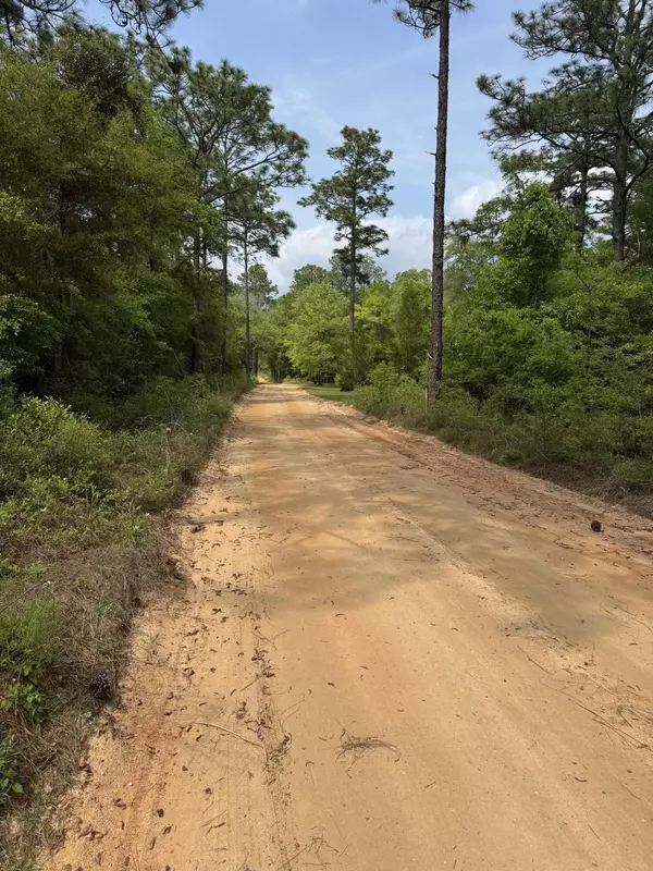 Bonifay, FL 32425,Lot 5 Olive Lane