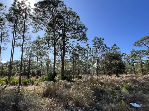 Inlet Beach, FL 32461,Lot 3 Jeep Road