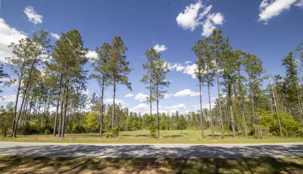 Pace, FL 32571,TBD SAGE FOREST Lane
