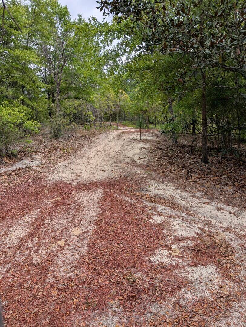 Defuniak Springs, FL 32433,XX Kaycee Jean Road