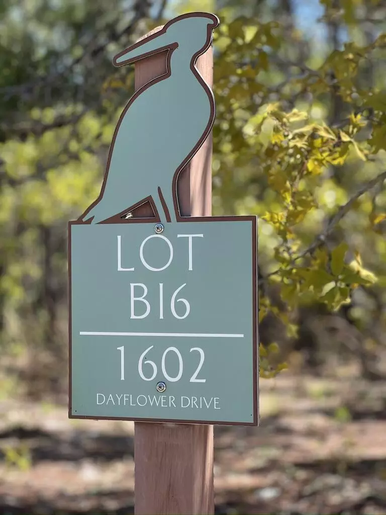 Panama City Beach, FL 32413,1602 Dayflower Drive