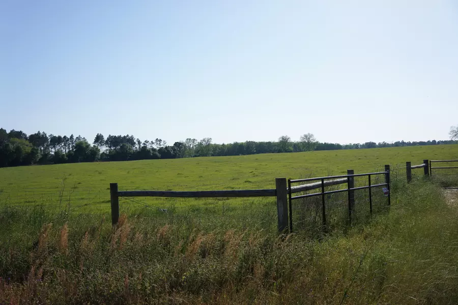 7784 Hwy 393, Laurel Hill, FL 32567