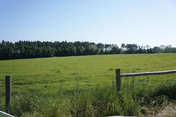 Laurel Hill, FL 32567,7784 Hwy 393