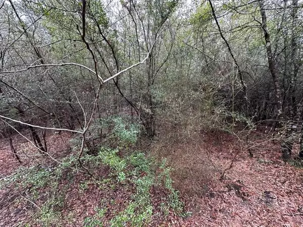 Crestview, FL 32539,00 Pennington Road