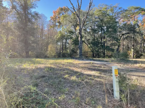 Westville, FL 32464,2492 Cedar Street