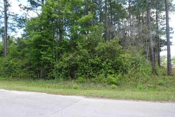 Santa Rosa Beach, FL 32459,Lot 1 Virgo Street