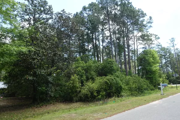 Santa Rosa Beach, FL 32459,Lot 1 Virgo Street