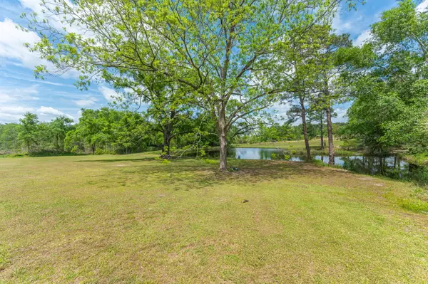 Florala, AL 36442,18954 Chance Road Road