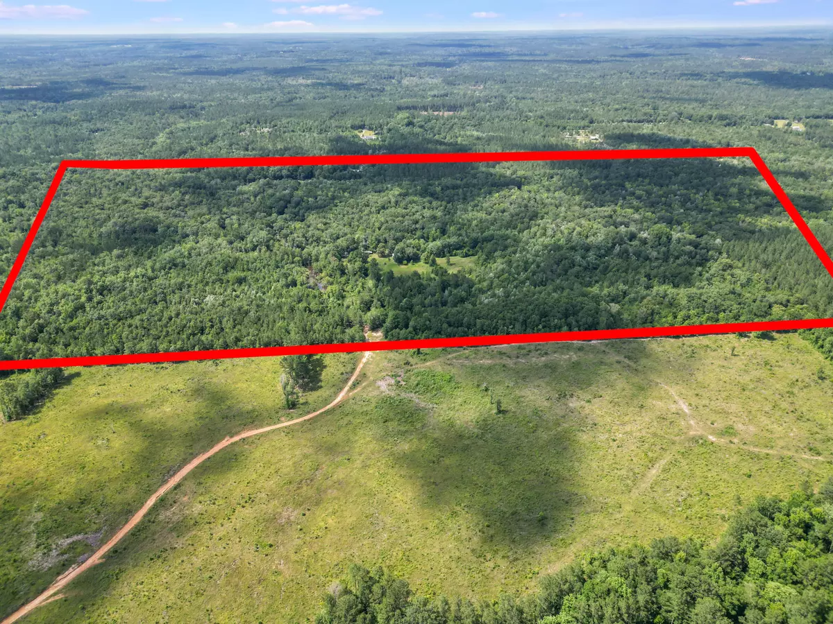 Ponce De Leon, FL 32455,XX Hummingbird Lane