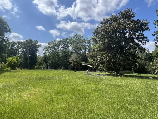 Ponce De Leon, FL 32455,92 Hummingbird Lane