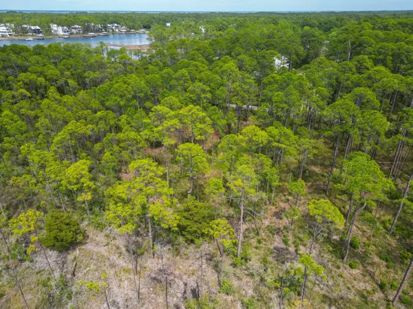 Santa Rosa Beach, FL 32459,TBD 13th Street