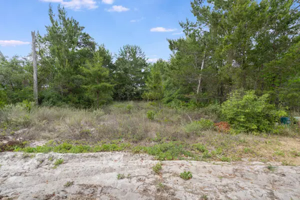 Inlet Beach, FL 32461,Lot 2 E Willow Mist Road