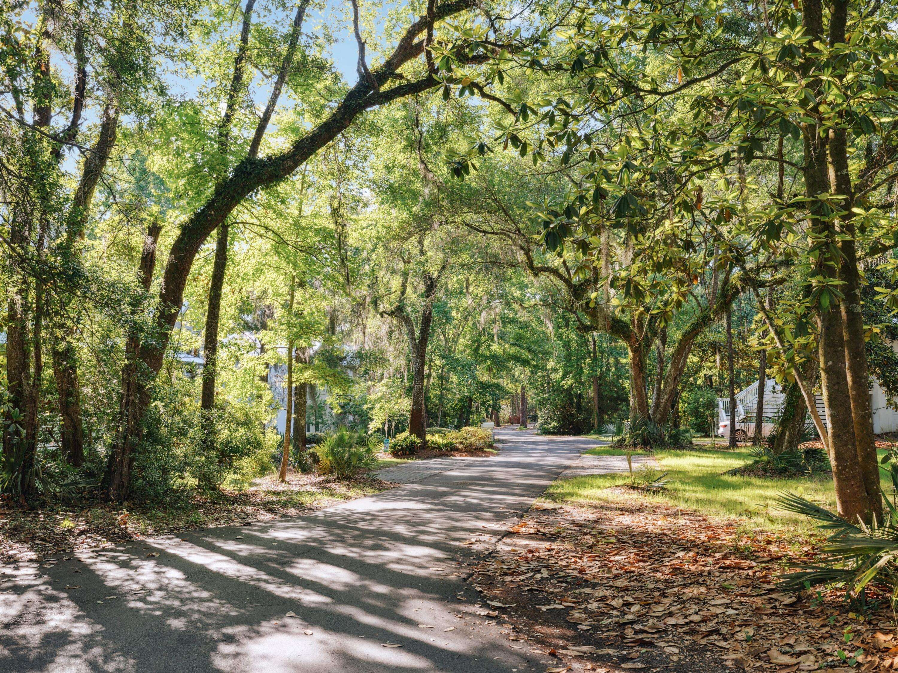 Santa Rosa Beach, FL 32459,LOT 9 East Shallows Drive