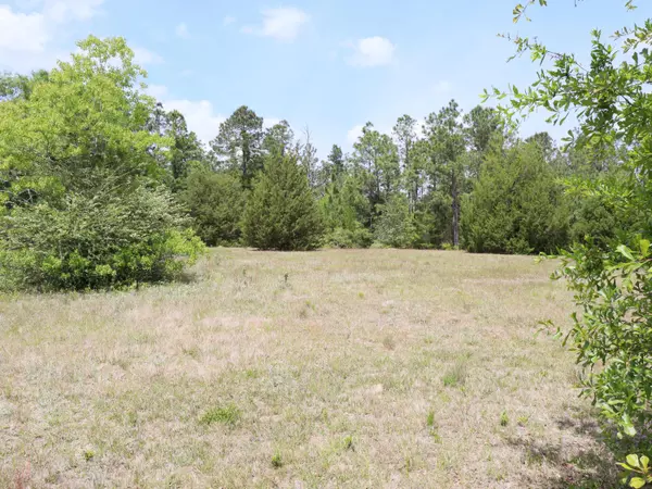 Defuniak Springs, FL 32433,Lot 24 Ten Lake Drive